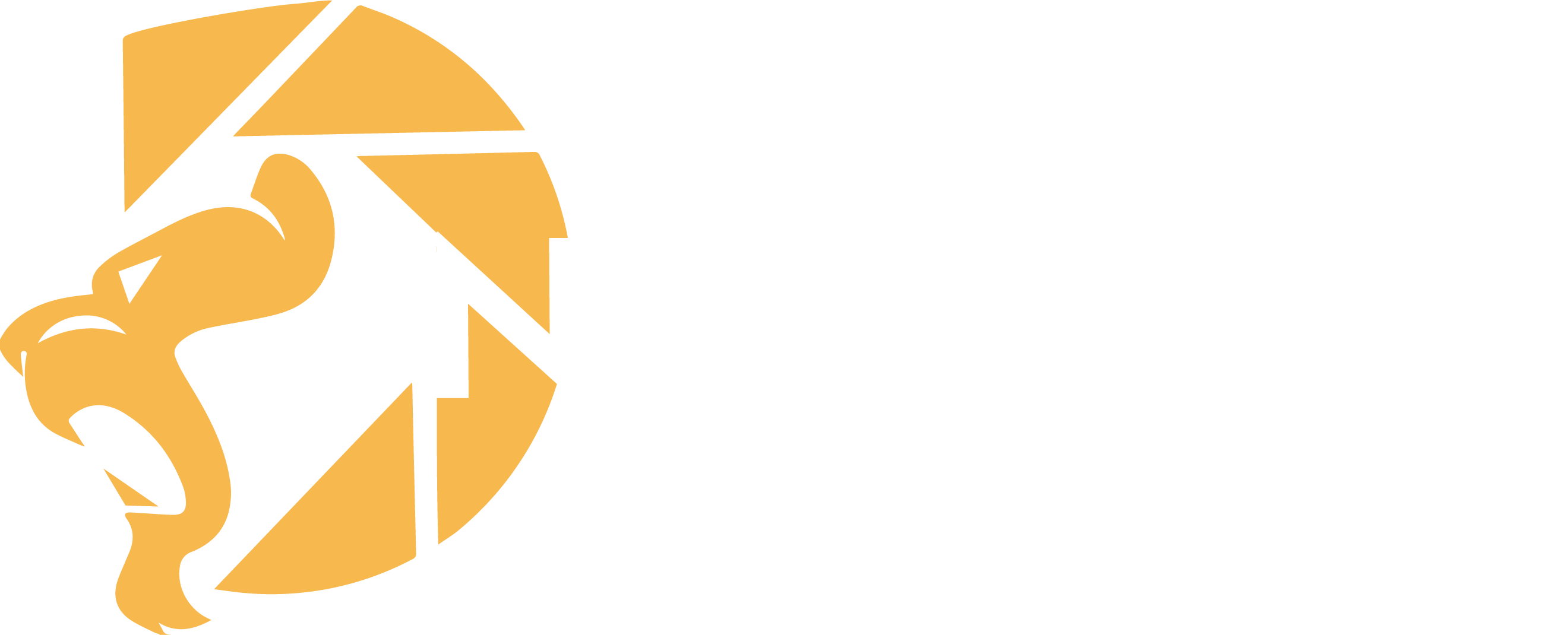 Nemesia logo
